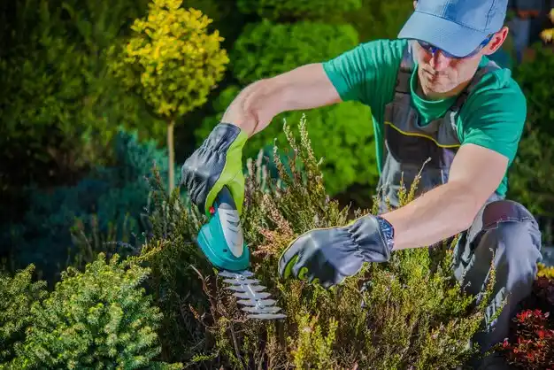 landscaping services Grain Valley